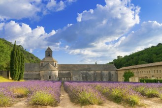 Monasteries of the Cistercian