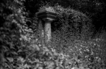 GDR, Berlin, 28.07.1987, Jewish cemetery Weißensee, overgrown column