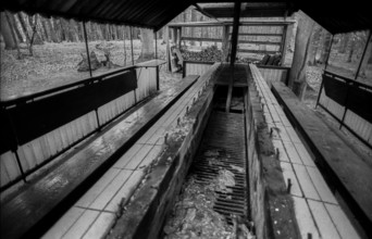 Germany, Eixen, 16.9.1991, property of a Politburo member, barbecue for several party guests,