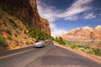 On the road in Zion National Park, USA, North America