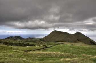 Landscape of Pico, Pico Island, Azores, Portugal, Europe