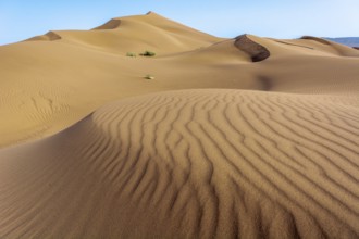 Erg Chebbi, sand desert of Merzouga, southeast of Morocco. Popular destination for travellers.