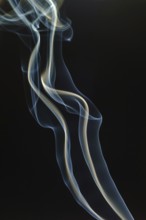 Trajectory of incense smoke in the air showing different shapes. France