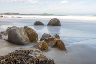 Scenic Moeraki Boulders at the east coast of New Zealands South Island