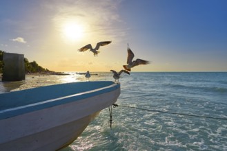 Holbox tropical Island seagulls beach boat in Quintana Roo of Mexico