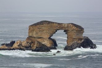 La Portada, rock gate, Antofagasta, Chile, South America