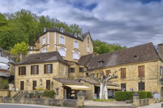Street with historical houses in Beynac-et-Cazenac, Dordogne department, France, Europe