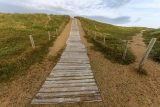 Wooden path at over sand dunes. Wooden path in the atlantic coast in France
