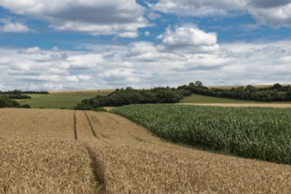 View over the German countryside in Rhineland-Palatinate with hay rolls and agriculture fields,