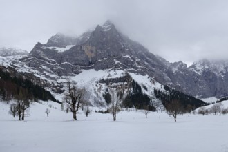 Großer Ahornboden in winter, Karwendel