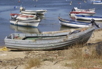 Colourful typical fishing boats off the coast