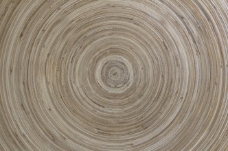 Concentric pattern of wood, with warm tones and clear
