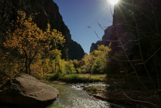 Narrows riverside walk Zion National Park