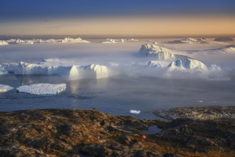 Large glaciers in the bay by the rocky shore in the light of the setting sun with fog over the