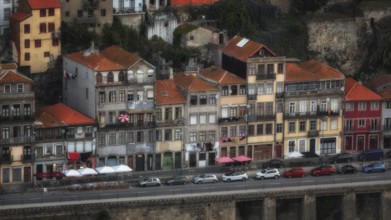 Historic capital, temple, buildings, attractions, transport, trams