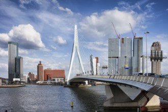 City of Rotterdam downtown skyline in South Holland, the Netherlands