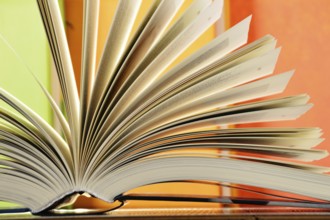 Composition with hardcover books in the library
