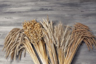 Grain sheaves