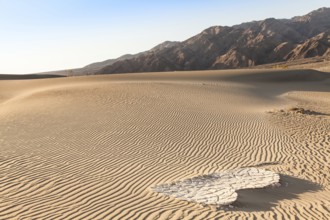 Sand dunes of Mesquite Flat in Death Valley Desert - California