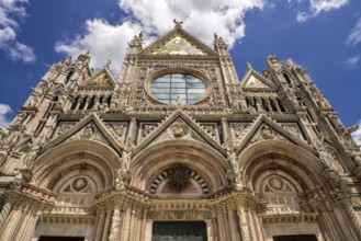 Sienna Duomo