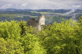 Ruined castle embedded in lush green vegetation under a cloudy sky, Altbodman castle ruins, Bodman,