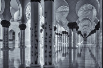 Sheikh Zayed Grand Mosque. Sheikh Zayid Mosque. Abu Dhabi