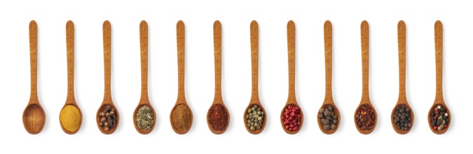 spices on a white background