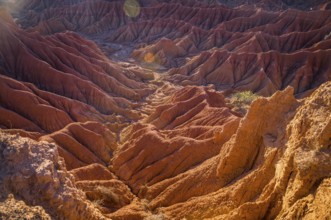 Red hills of Tatacoa Desert bathed in sunlight in Huila, Colombia, South America