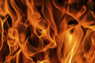 Flames of fire on a black background. The mystery of fire