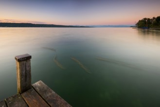 Wooden footbridge at Lake Starnberg near Bernried in Upper Bavaria in summer at sunrise