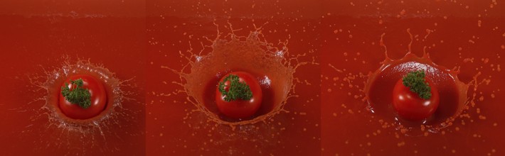 Cherry Tomatoe (solanum lycopersicum), Fruit falling into tomatoe's Juice