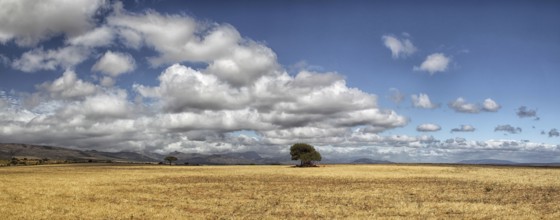 Landscape in the semi-desert Karoo in South Africa