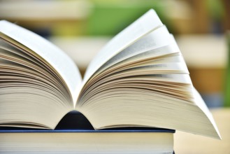 Books lying on the table in the public library