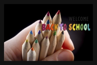 Variety of colors vector set of colored pencils. Drawing and painting