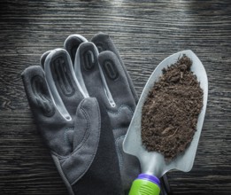 Garden shovel Earth safety gloves on wooden board