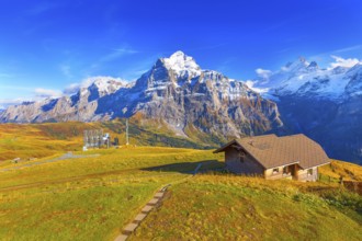 Grindelwald First, Switzerland aerial Swiss Alps mountains panorama landscape, wooden chalet and