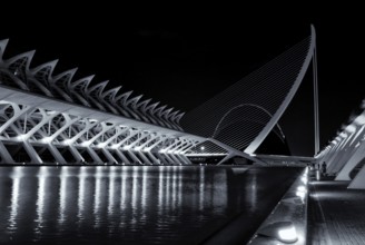 Museu de les Ciencies Príncipe Felipe st part of the Ciudad de las Artes y las Ciencias, The