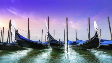 early morning sunrise at the san marco square in venice