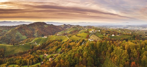 Aerial panorama of Vineyard on an Austrian countryside in Kitzeck with a church in the background
