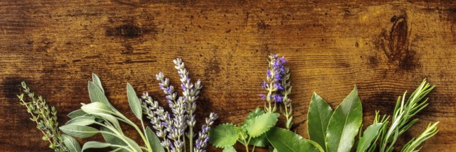 Aromatic herbs panoramic banner with copy space, shot from the top on a rustic wooden background.