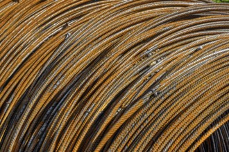 Rusted reinforcing steel, Kempten, Allgäu, Bavaria, Germany, Europe