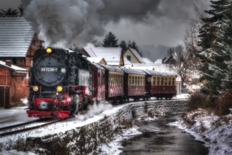 Harz narrow-gauge railway in Straßberg Harz