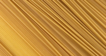 Spaghetti Pasta