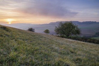 A hilly landscape with grass and trees at sunset, depicting a peaceful and vast nature, Bisberg,