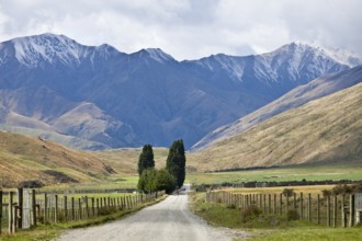 Landscape in the Wanaka Region, New Zealand, South Island, Oceania