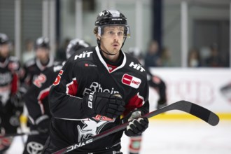 Louis- Marc Aubry (Cologne Sharks, #15), PENNY DEL, Test match Cologne Sharks- Lions Frankfurt on