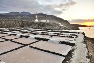 Picture Photo of Salt Flats in the Canry islands