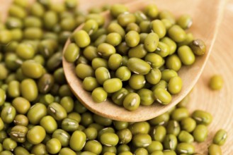Mung beans over wooden spoon, lodz, poland