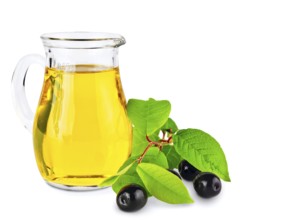 Olive oil and olives wiyh green leaves against white background