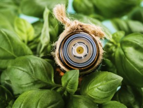 Bottle of basil essential oil with fresh basil